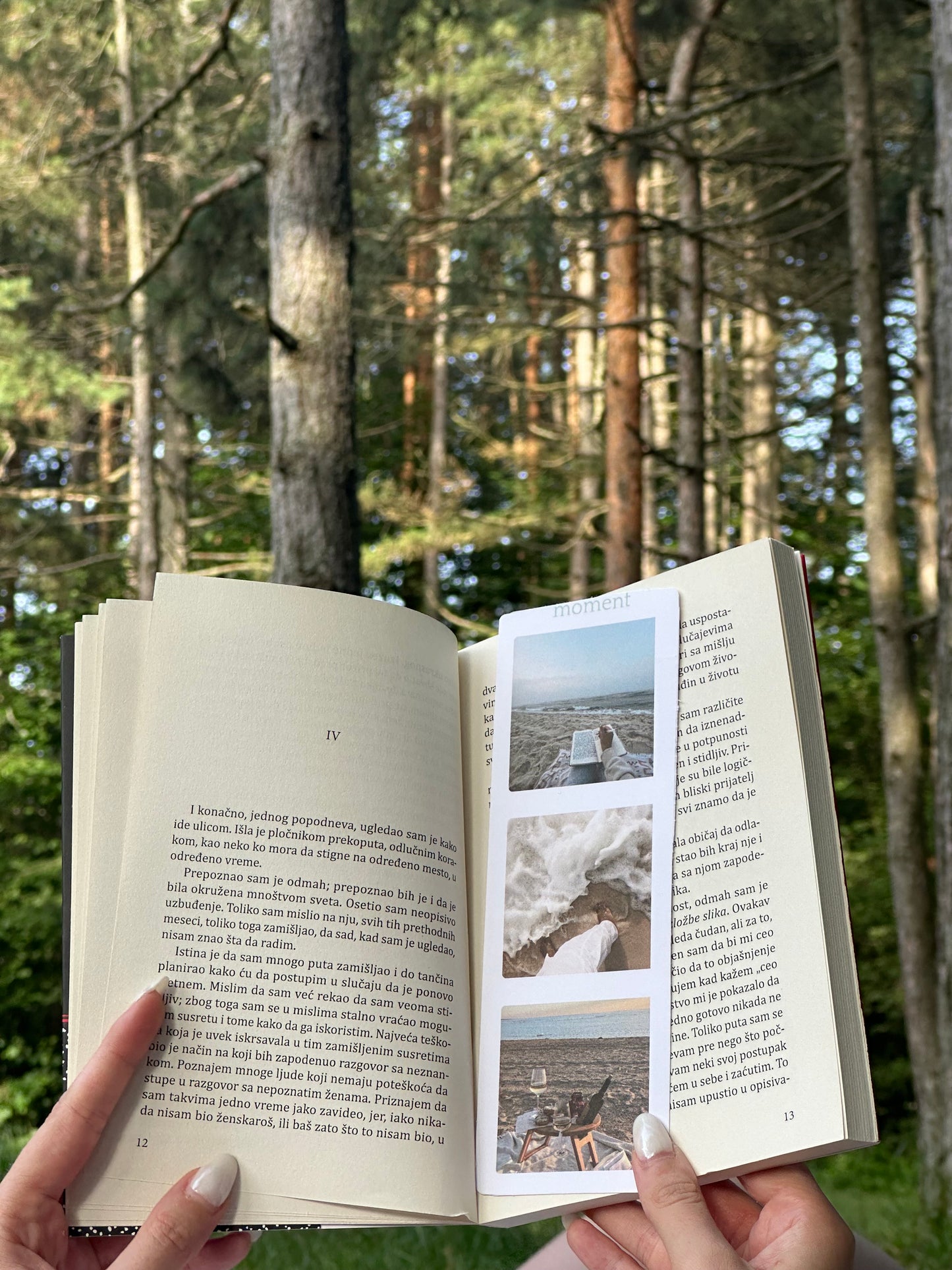 Bookmarker Summer